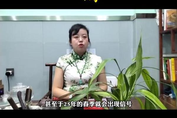 2025年1993年属鸡女运势_2025年1993年属鸡女运势怎么样 2025年1993年属鸡女运势_2025年1993年属鸡女运势怎么样