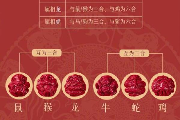 属猪2025犯太岁吗_属猪的人犯太岁的化解方法 属猪2025犯太岁吗_属猪的人犯太岁的化解方法