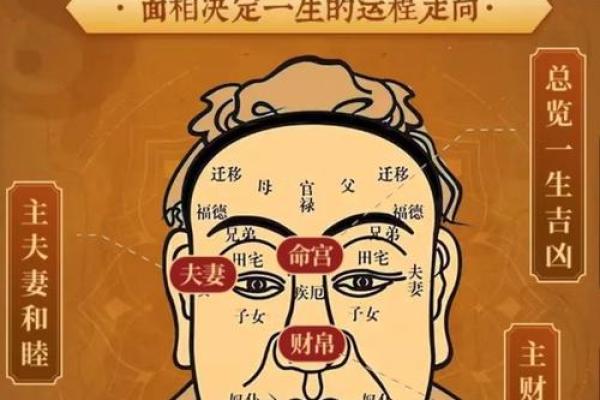 夫妻双方子女宫不一致_夫妻双方子女宫不一致命理解析与应对策略 夫妻双方子女宫不一致_夫妻双方子女宫不一致命理解析与应对策略