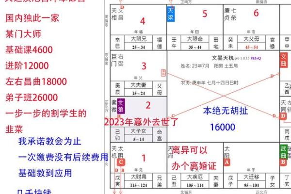 2025年3月8日寅时男命紫微斗数全解盘