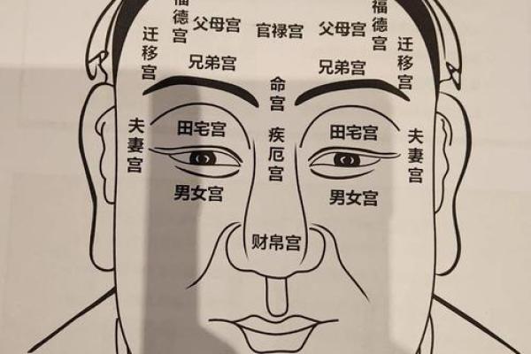 地空入福德宫 地空入福德宫命理解析与运势提升指南 地空入福德宫 地空入福德宫命理解析与运势提升指南