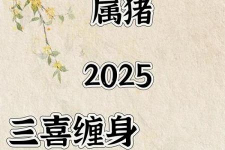 1983年属猪人2025年运势及运程_属猪运势2025年运势详解1983出生