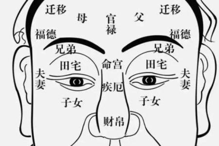 夫妻宫化权入疾厄宫_夫妻宫化权入疾厄宫代表什么