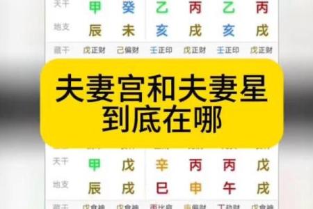 夫妻宫位置图解精准定位与详细解析