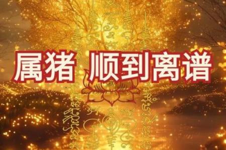 83年属猪男2025年运势 2025年83年属猪男运势详解事业财运与感情走向