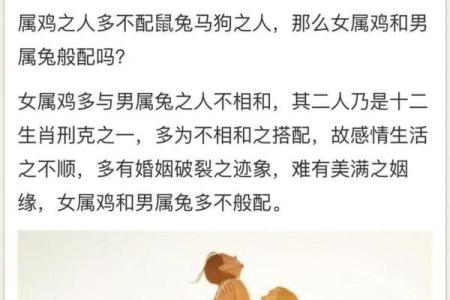 属鸡男和属狗女的适合做夫妻吗_属鸡男和属狗女的适合做夫妻吗怎样化解