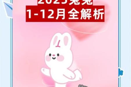 63年属兔男2023年每月运势详解及运程分析