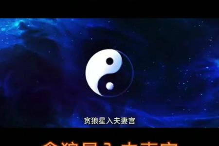 夫妻宫有紫微星的遗憾_夫妻宫有紫微星的有钱