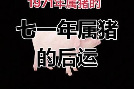 1971年属猪人2025年运势详解运程走向与吉凶预测