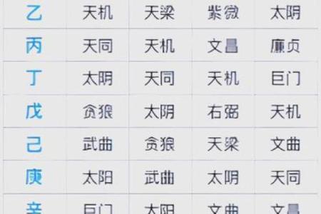 2025年2月25日卯时男命紫微斗数全解盘