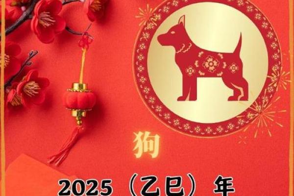 1970年属狗男2025年运势及运程每月运程_1970年属狗男2025年每月运势详解及运程预测 1970年属狗男2025年运势及运程每月运程_1970年属狗男2025年每月运势详解及运程预测