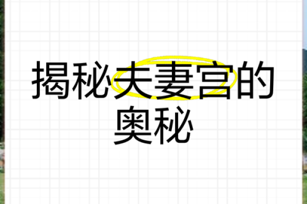 凤阁入夫妻宫必离_凤阁入夫妻宫必离揭秘命理中的婚姻玄机 凤阁入夫妻宫必离_凤阁入夫妻宫必离揭秘命理中的婚姻玄机