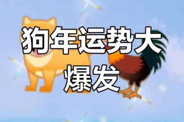 属狗的人今日运势和财运如何 属狗人今日运势最准 属狗的人今日运势和财运如何 属狗人今日运势最准