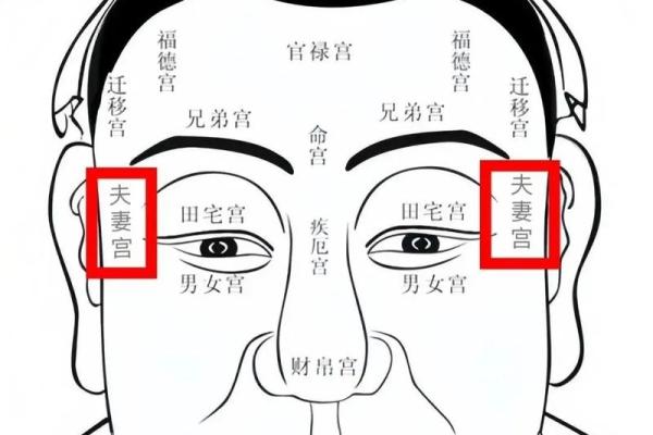 夫妻宫紫薇解析揭秘婚姻运势与感情走向 夫妻宫紫薇解析揭秘婚姻运势与感情走向