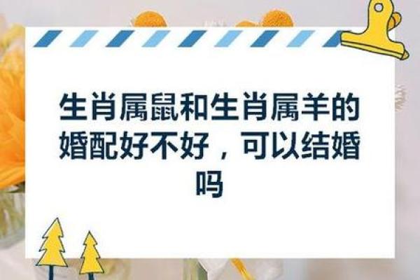 属鼠跟属羊婚配好不好_属鼠和属羊的婚配好不好 属鼠跟属羊婚配好不好_属鼠和属羊的婚配好不好