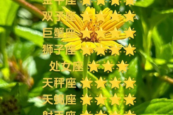 白羊座紫微星今日运势_白羊座紫微星今日运势解析好运降临机遇与挑战并存 白羊座紫微星今日运势_白羊座紫微星今日运势解析好运降临机遇与挑战并存