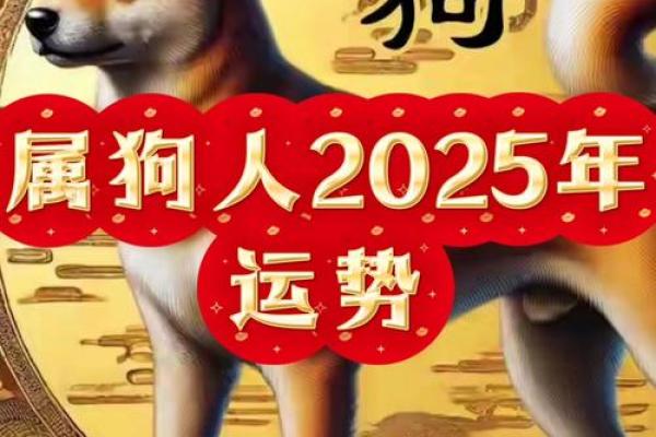 82属狗男2025年运势完整版 2025年82属狗男运势详解全年运程完整版