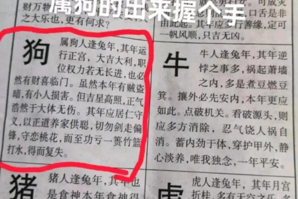 06年属狗今年多大2023年属狗人年龄详解