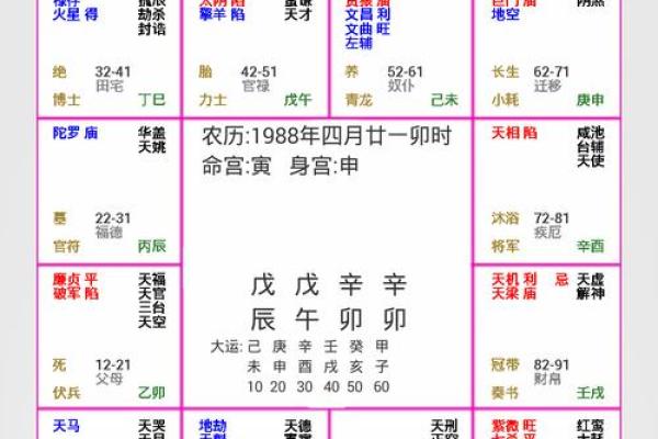 2025年2月17日子时女命紫微斗数全解盘 2025年2月17日子时女命紫微斗数全解盘