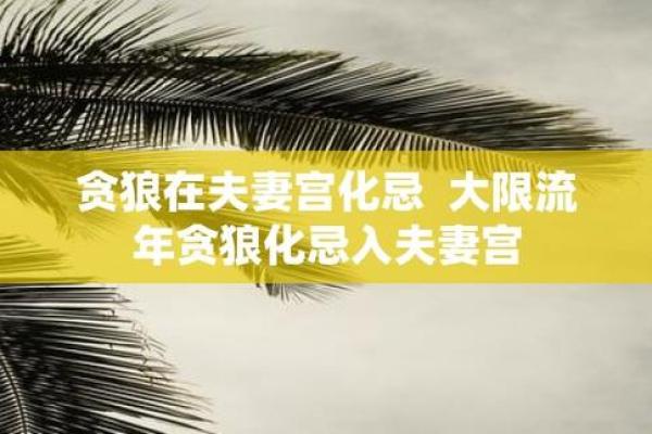 夫妻宫贪狼化忌_夫妻宫贪狼化忌女人 夫妻宫贪狼化忌_夫妻宫贪狼化忌女人