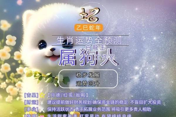 属狗的2025年多大年龄_2025年属狗的人多大年龄详细解析 属狗的2025年多大年龄_2025年属狗的人多大年龄详细解析