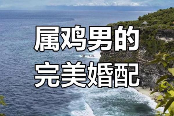 属鸡的配偶是什么属相最合适_属鸡的最佳配偶属相揭秘最合适的婚配选择 属鸡的配偶是什么属相最合适_属鸡的最佳配偶属相揭秘最合适的婚配选择