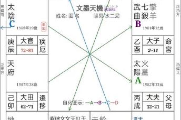 2025年3月1日子时女命紫微斗数全解盘