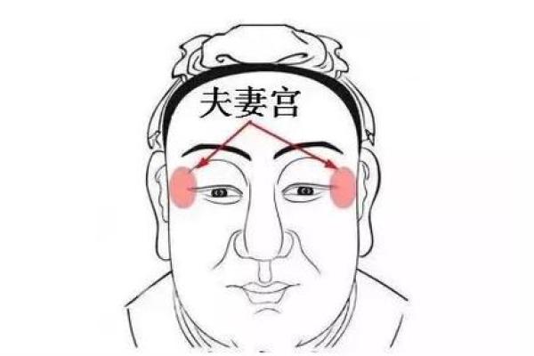 夫妻宫紫薇化科 夫妻宫紫薇化科看配偶长相 夫妻宫紫薇化科 夫妻宫紫薇化科看配偶长相