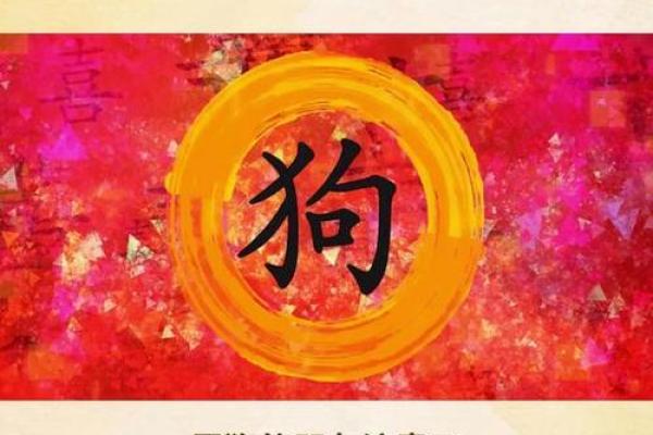 属狗2025年多大了_属狗人2025 属狗2025年多大了_属狗人2025