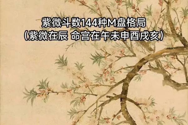 2025年2月24日寅时女命紫微斗数全解盘 2025年2月24日寅时女命紫微斗数全解盘