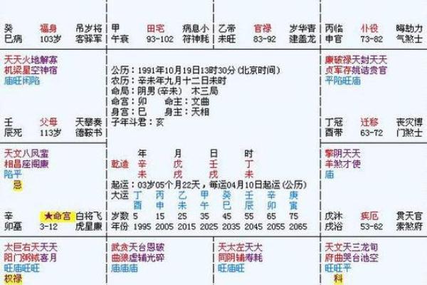 2025年3月5日寅时男命紫微斗数全解盘