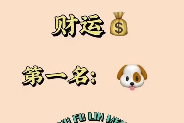 属狗的财运在哪个方向最好_94年属狗31岁有一劫 属狗的财运在哪个方向最好_94年属狗31岁有一劫