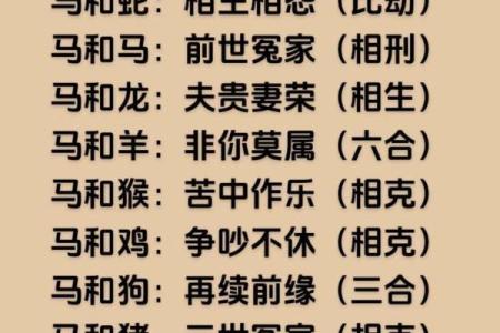 属马的和属猪的适合做夫妻吗_属马的和属猪的适合做夫妻吗女人