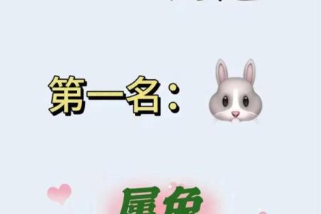 2025属兔今年有一难如何化解运势危机