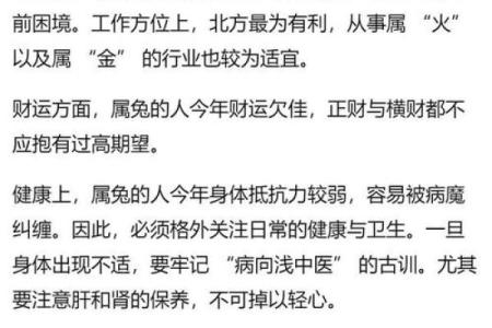 属兔人2025年运势完整版_2025年属兔运气怎么样