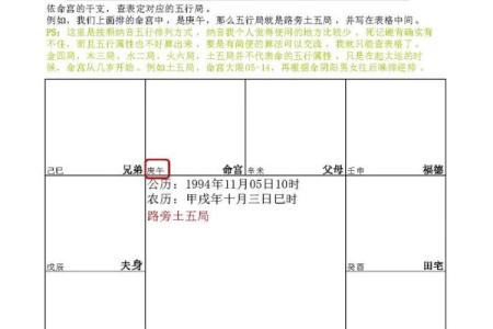 2025年3月10日子时男命紫微斗数全解盘