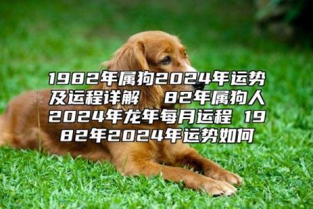 1982年属狗2025年运势详解完整版预测