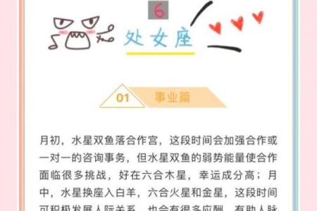 处女座运势2025年全年运势_2025年处女座全年运势详解事业爱情财运全面解析