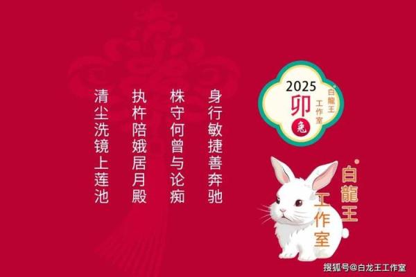 75年属兔人2025年每月运势 2025年属兔人每月运势详解75年兔年出生者全年运程