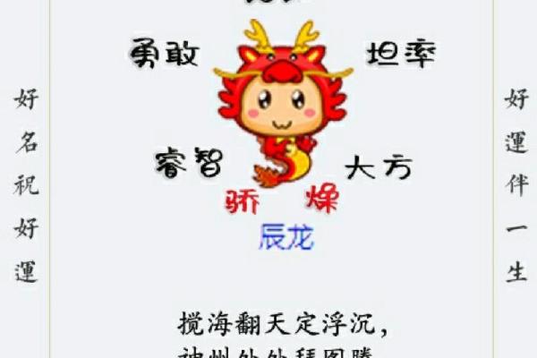 1988年2月1日属龙还是属兔_1988年二月一号什么属相