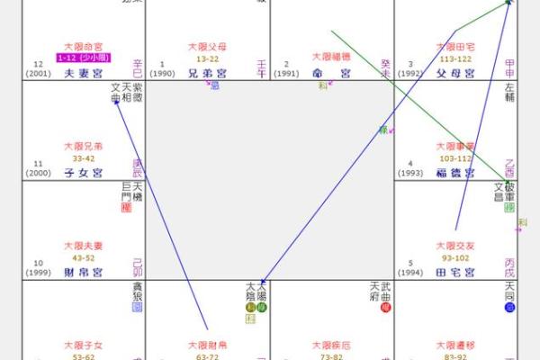 福德宫廉贞_福德宫廉贞解析命理运势与风水布局指南