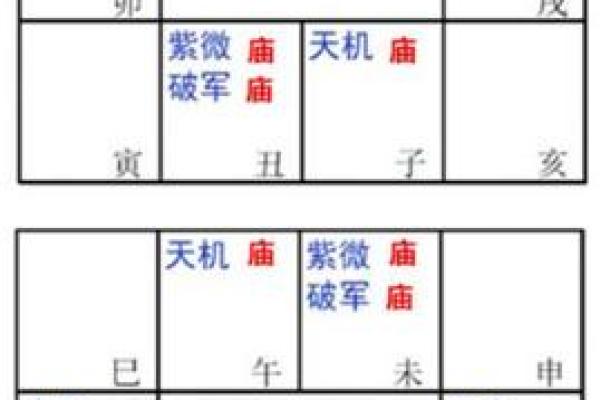 2025年3月6日子时女命紫微斗数全解盘 2025年3月6日子时女命紫微斗数全解盘