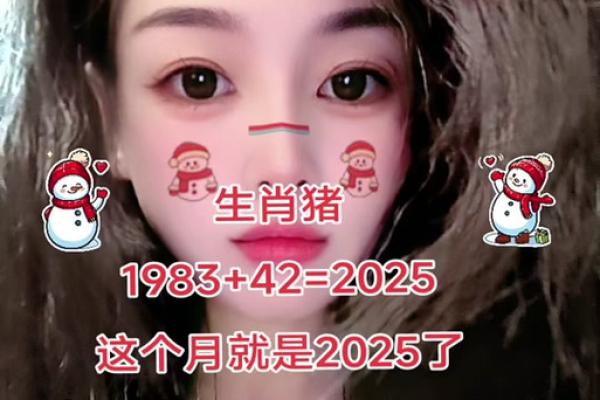 属猪的今年多大了2025年出生 属猪的人今年有多大 属猪的今年多大了2025年出生 属猪的人今年有多大
