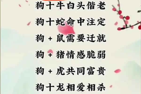 1970年属狗的最佳配偶_1970年属狗的最佳配偶是什么属相 1970年属狗的最佳配偶_1970年属狗的最佳配偶是什么属相