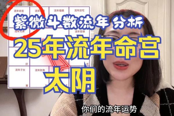 2025年2月18日寅时女命紫微斗数全解盘 2025年2月18日寅时女命紫微斗数全解盘