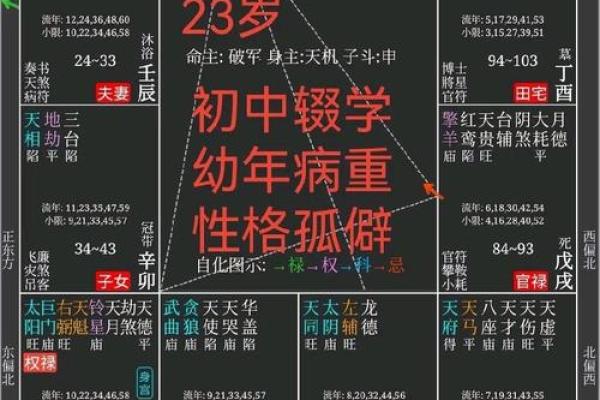 2025年3月12日子时男命紫微斗数全解盘
