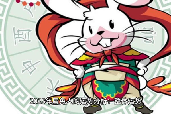 1999年兔2025年运势 1987年兔2025年每月运势详解 1999年兔2025年运势 1987年兔2025年每月运势详解
