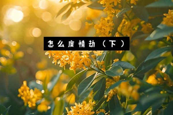 2025属兔人情劫是几月份_2025年属兔人情劫月份揭秘几月需特别当心 2025属兔人情劫是几月份_2025年属兔人情劫月份揭秘几月需特别当心