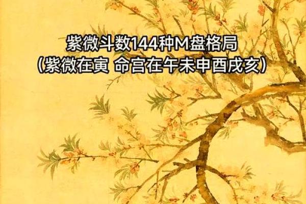 2025年2月27日寅时女命紫微斗数全解盘
