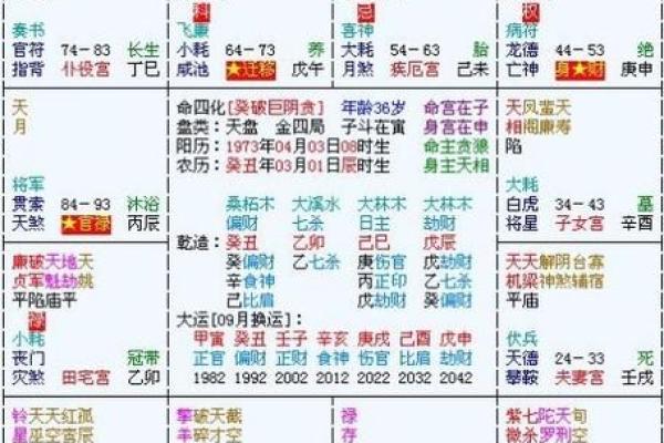 2025年3月30日丑时男命紫微斗数全解盘 2025年3月30日丑时男命紫微斗数全解盘